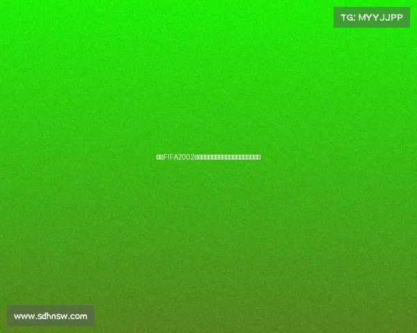 揭秘FIFA2002世界杯彩蛋与隐藏玩法完全盘点指南全收录